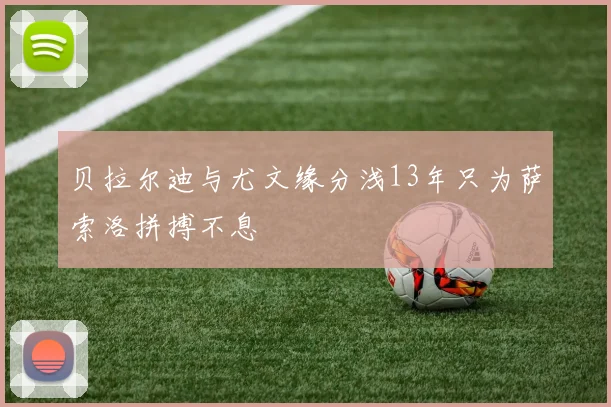 贝拉尔迪与尤文缘分浅13年只为萨索洛拼搏不息