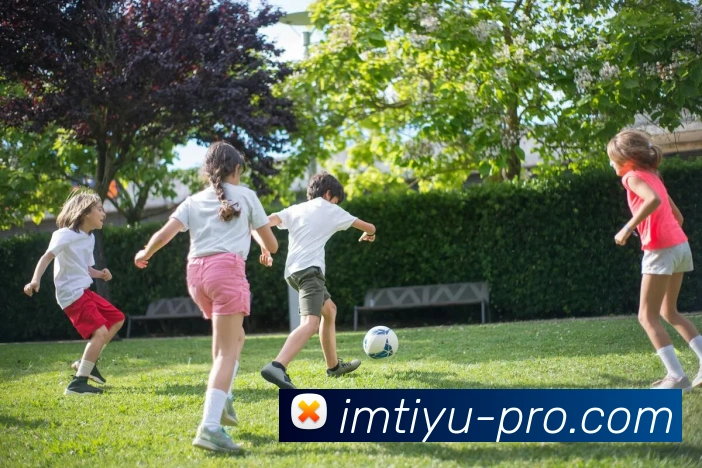 im体育服务体系